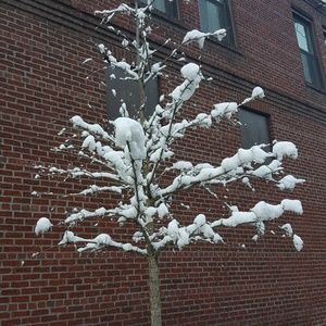 Meet your Posher, Jim